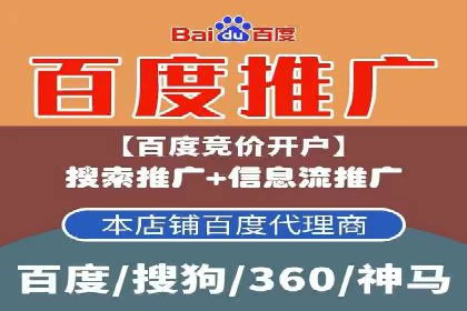 深度解析百度推广代运营公司的成功策略与技巧